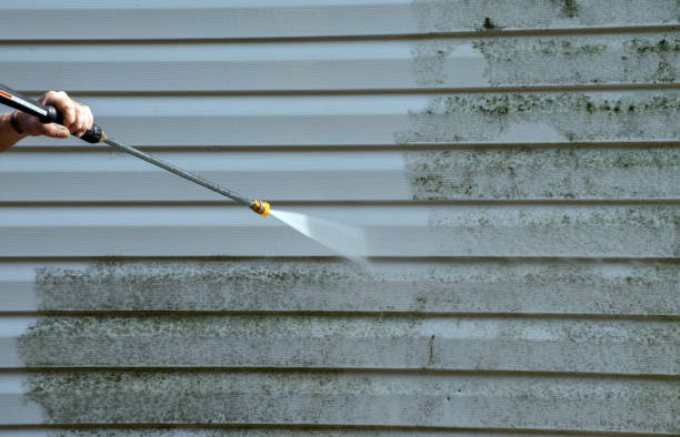 Best Gutter Cleaning  in Winchester, MO